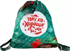 Мешок для обуви Milo Toys Тому, кто хорошо себя вел 9720695 фото