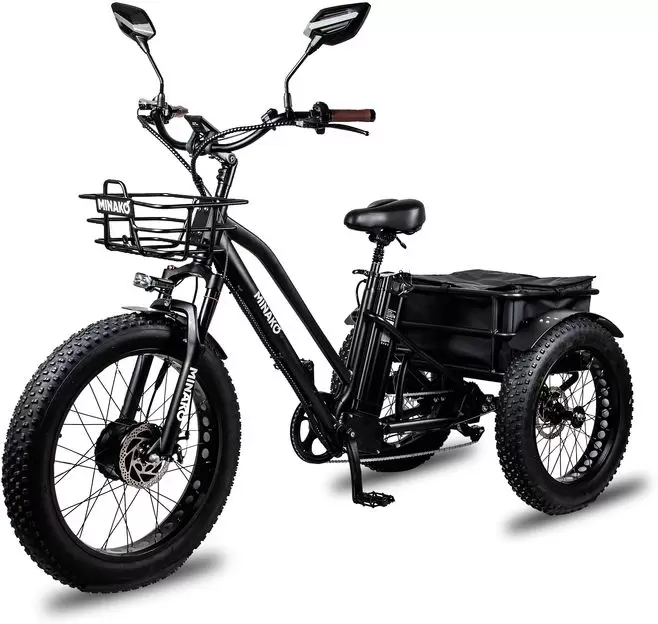 Minako Trike 001181