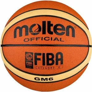 Мяч баскетбольный Molten BGM6 фото
