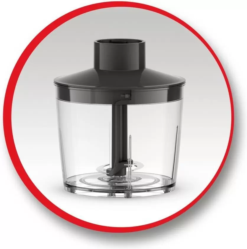 Погружной блендер Moulinex DD5R38F0 фото