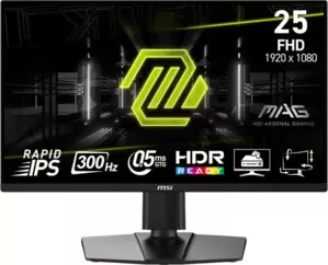 Игровой монитор MSI MAG 255PXF фото