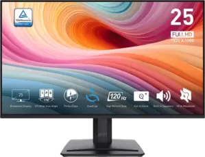 Монитор MSI Pro MP251 E2 фото