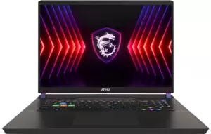 Ноутбук MSI Vector 17 HX A14VFG-214CN фото