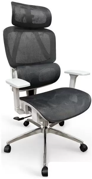 MYROO Office Ping T204-GW (grey/white)