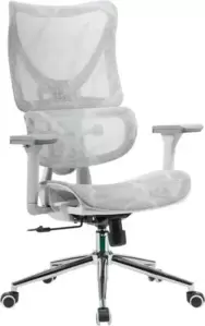Офисное кресло myroo Office Wizard HS-3853H-1-G (light grey) фото