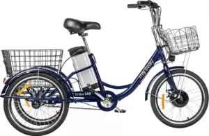 Электровелосипед MyWay Trike 350 Pro 24 (15, синий) фото