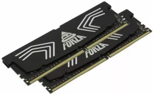 Модуль памяти Neo Forza Faye 2x32GB DDR4 PC4-24000 NMUD432F82-3000DB21 фото