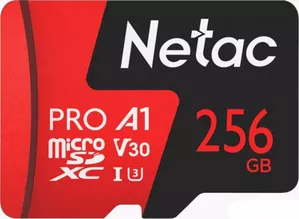 Карта памяти Netac P500 Extreme Pro 256GB NT02P500PRO-256G-S фото
