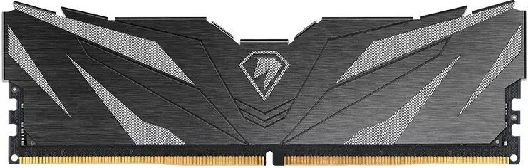 Netac Shadow II 16GB DDR5 PC5-48000 NTSWD5P60SP-16K