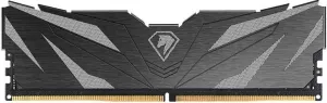 Оперативная память Netac Shadow II 16GB DDR5 PC5-48000 NTSWD5P60SP-16K фото
