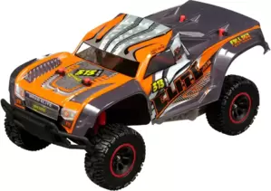 Автомодель Nikko Машина Elite Trucks Baja 10071 фото