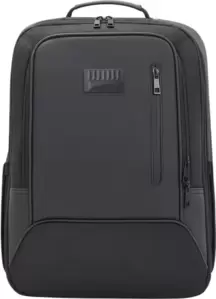 Рюкзак Ninetygo Business Large Capacity Backpack 90BBPCB22156U-BK фото