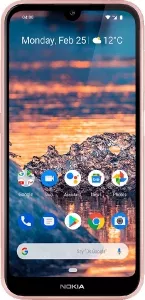 Nokia 4.2 2Gb/16Gb Pink фото