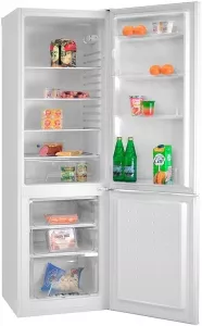 Холодильник Nord DR 195 фото