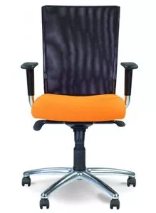 Офисное кресло Новый стиль Evolution R Alum фото