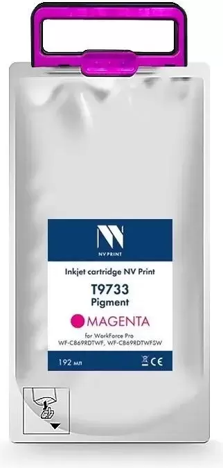 NV Print NV-C13T973300