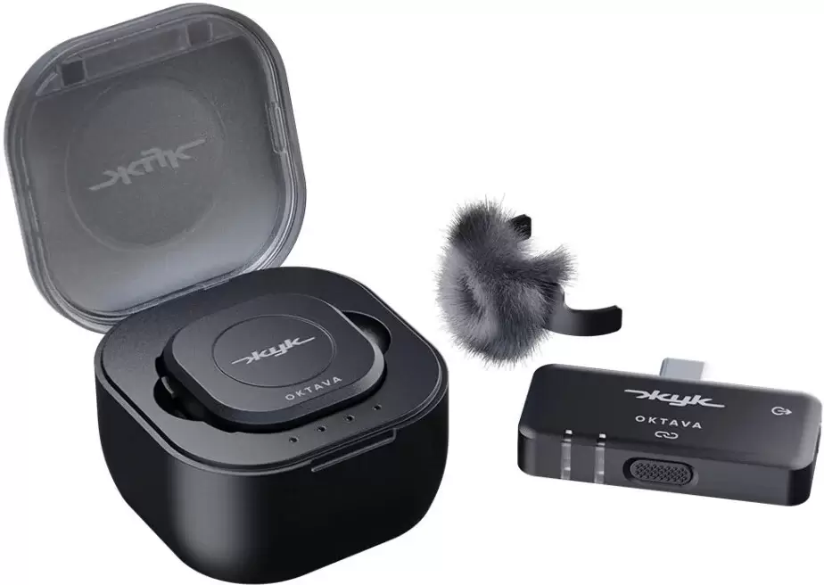 Октава Жук-1 (черный)