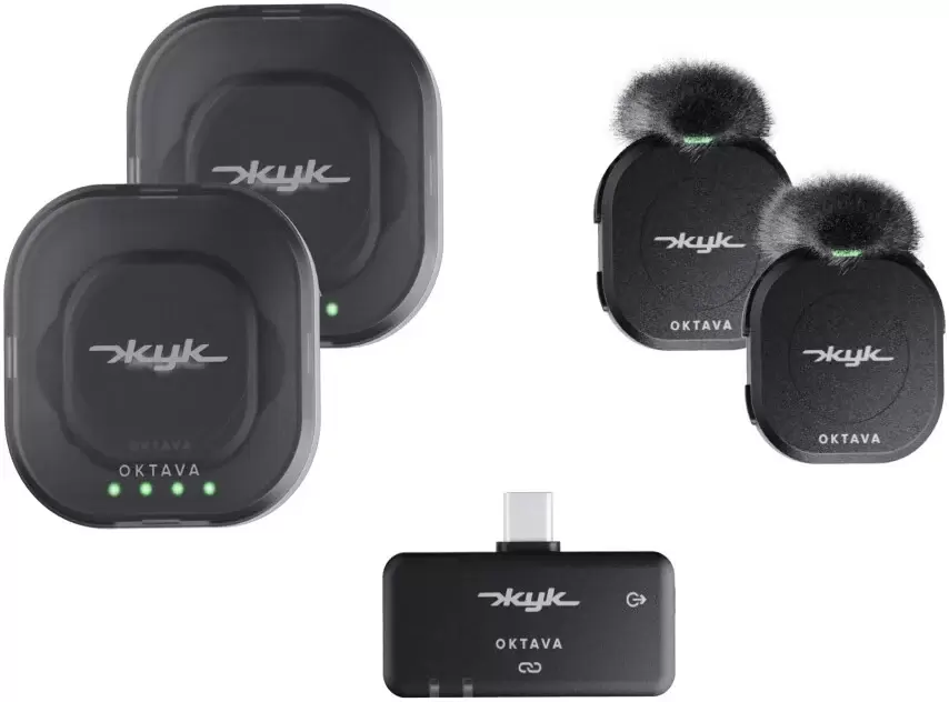 Октава Жук-2 (черный)