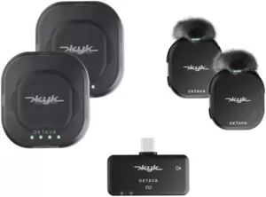 Октава Жук-2 (черный)