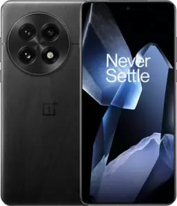 OnePlus 13 12GB/256GB международная версия (обсидиан)