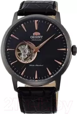 Наручные часы Orient FAG02001B фото