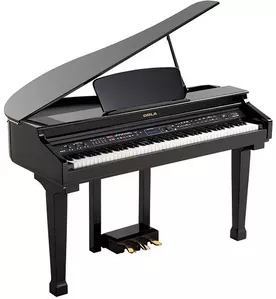Цифровое пианино Orla Grand 120 Black фото