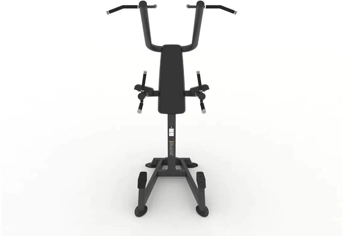 Турник с брусьями Spirit SP-4219 фото