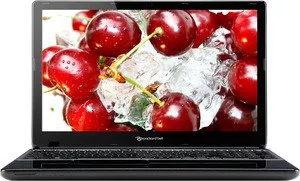 Ноутбук Packard Bell EasyNote TE69CX-21172G50Mnsk (NX.C2SER.004) фото