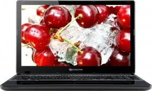 Ноутбук Packard Bell EasyNote TE69CX-21174G32Mnsk (NX.C3EER.004) фото