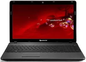 Ноутбук Packard Bell EasyNote TS11-HR-581RU (NX.BYJER.005) фото