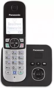 Радиотелефон Panasonic KX-TG6821UAB