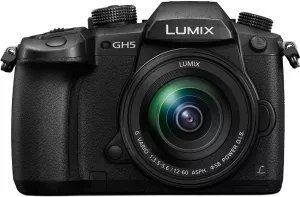 Фотоаппарат Panasonic Lumix DC-GH5 Kit 12-60mm f/3.5-5.6 фото