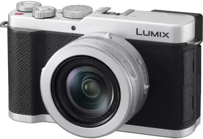 Panasonic Lumix L10 (серебристый)