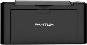 Лазерный принтер Pantum P2207 фото