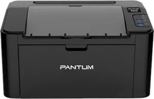 Принтер Pantum P2516 фото