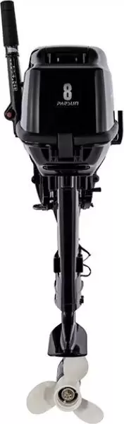 Лодочный мотор Parsun T 8 BMS фото
