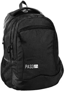 Школьный рюкзак Paso PPMS20-2808 фото