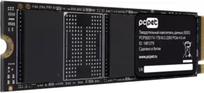 SSD PC Pet 1TB PCPS001T4 фото