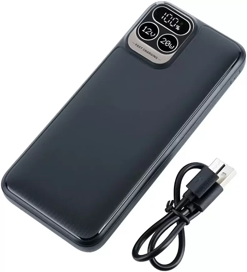 Портативное зарядное устройство Perfeo Atomic Age 10000mAh (черный) фото 2