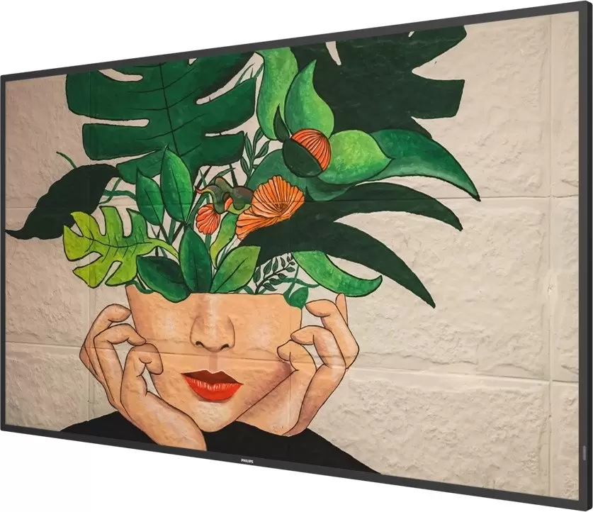 Информационная панель Philips 55BDL4511D/00 фото