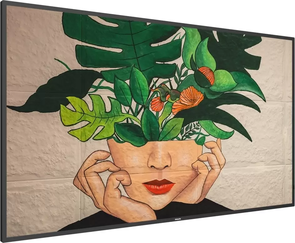 Информационная панель Philips 55BDL4511D/00 фото