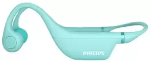 Наушники Philips TAK4607GR/00 фото