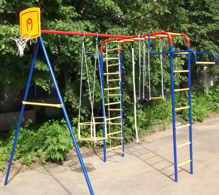 Детский спортивный комплекс Пионер Дачный мини Детский спортивный комплекс Пионер Дачный мини фото