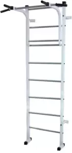 Детский спортивный комплекс Пионер СМ без скамьи фото