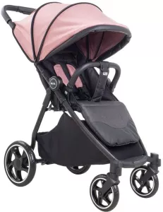 Детская коляска Pituso Ruta (dusty pink, grey) фото