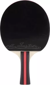 Ракетка для настольного тенниса Победитъ PPR-A 323139 фото