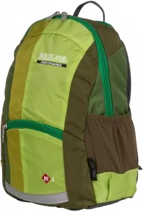 Рюкзак школьный Polar П2009 (зеленый) фото
