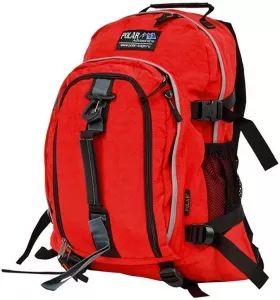 Рюкзак Polar П955 red фото