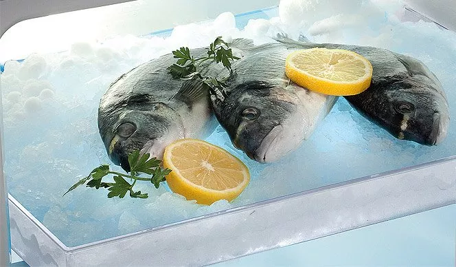 Холодильник POZIS Мир-244-1 (графит) фото