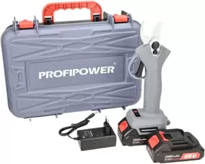 Profipower MKGSP-18V (с 2-мя АКБ, кейс)